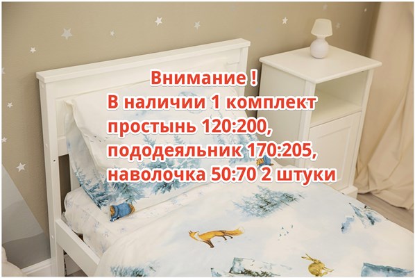Детское постельное бельё Sweet Dreams Snow taiga (на резинке + молния)