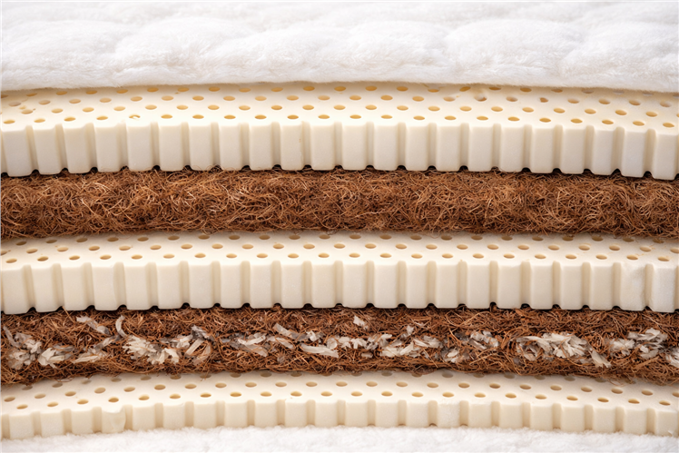 Беспружинный матрас